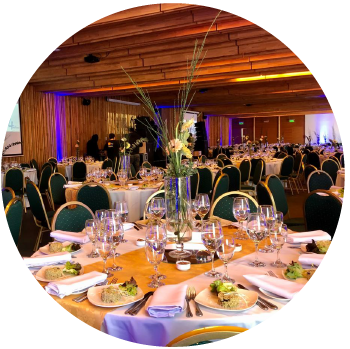 GALERIA DE FOTOS_Mesa de trabajo 1 copia 2